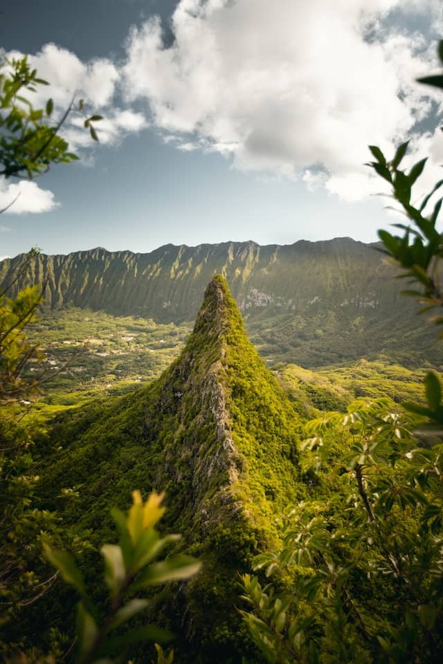 Oahu in Hawaii, US, with wide-angle shot of lush greenery